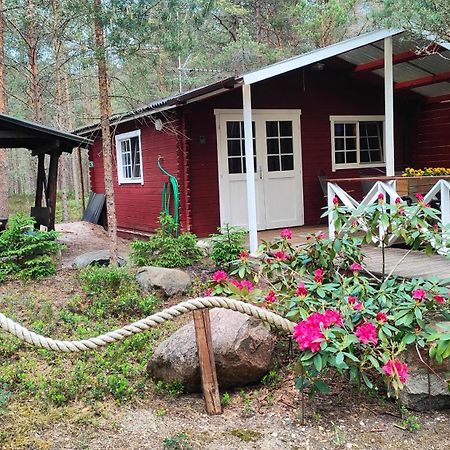 Nova Madise Guesthouse Rannaküla 외부 사진