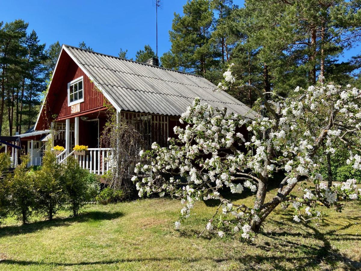 Nova Madise Guesthouse Rannaküla 외부 사진